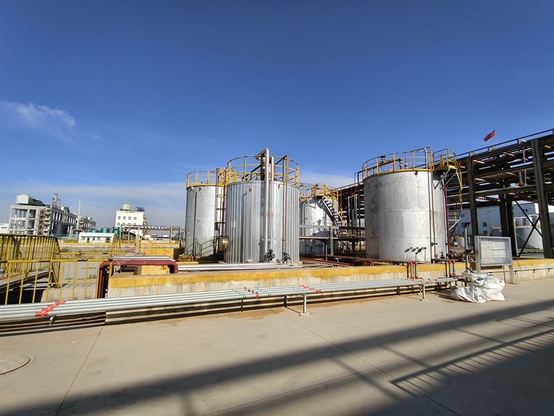 Stainless steel storage tanks with access platforms and pipe bridges